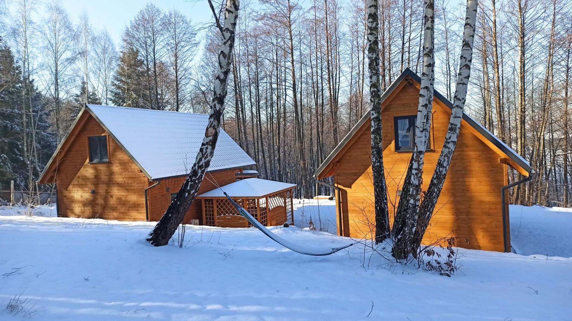 Las Lorien - Wynajem Domkow Letniskowych 2.0 Villa Roczyny Exterior photo