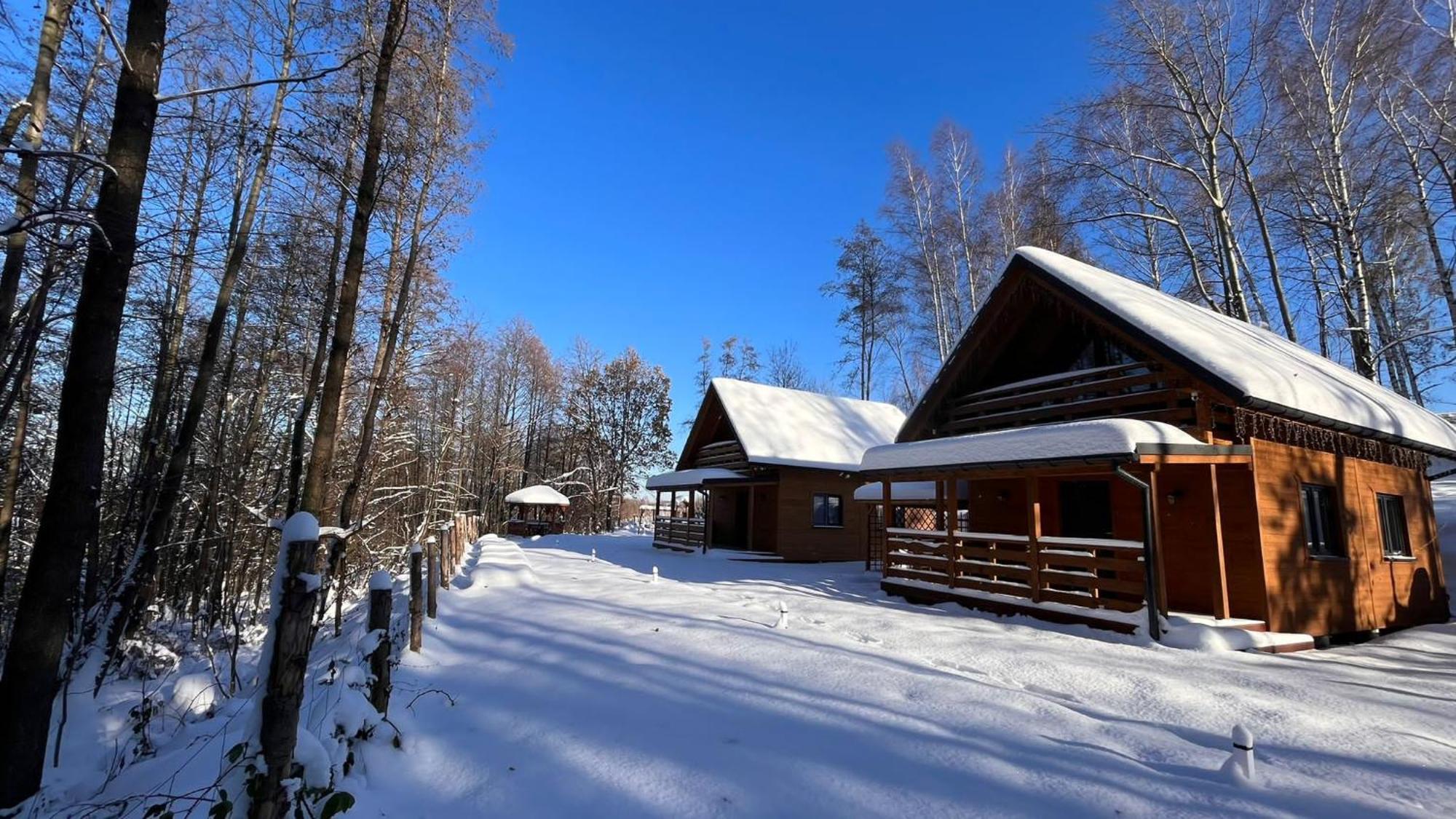 Las Lorien - Wynajem Domkow Letniskowych 2.0 Villa Roczyny Exterior photo