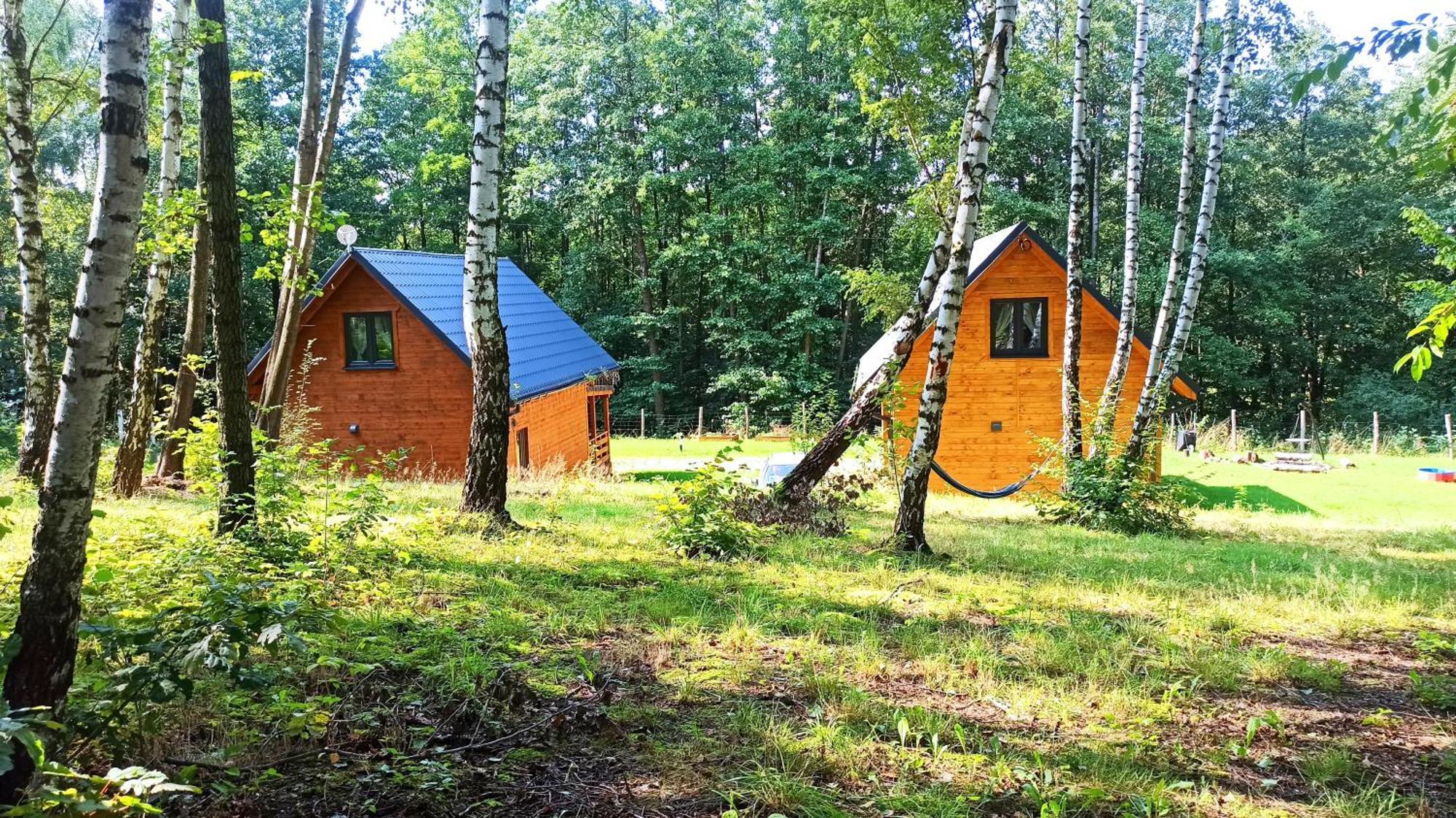 Las Lorien - Wynajem Domkow Letniskowych 2.0 Villa Roczyny Exterior photo